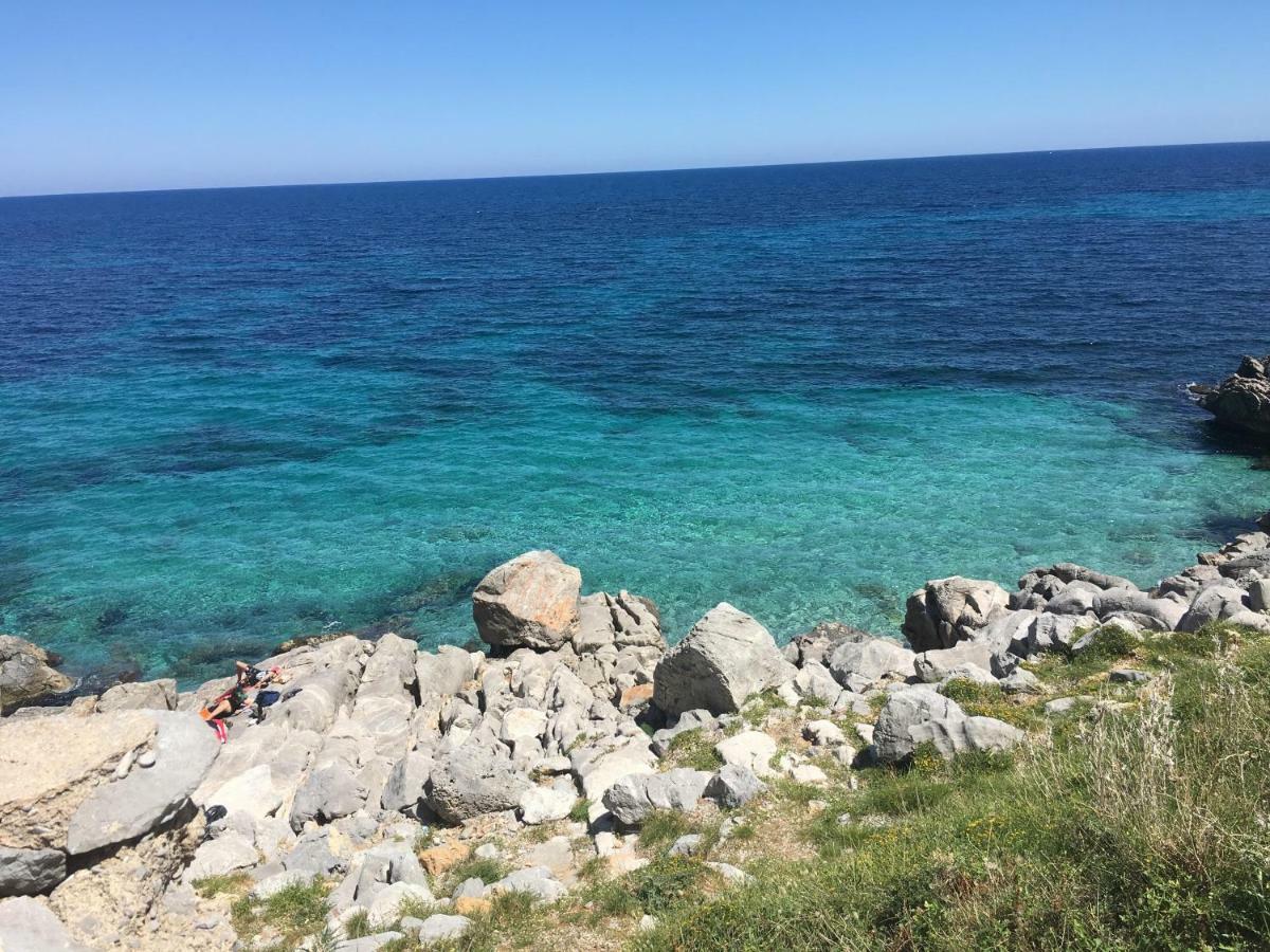 Monolocale I Delfini Διαμέρισμα Mondello Εξωτερικό φωτογραφία